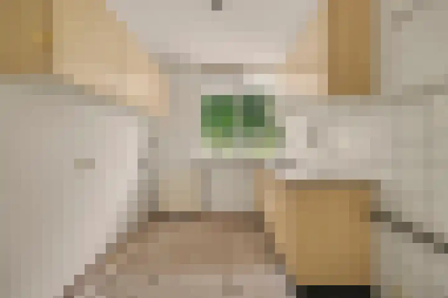 Vestahof 31 Rockanje thumbnail 6