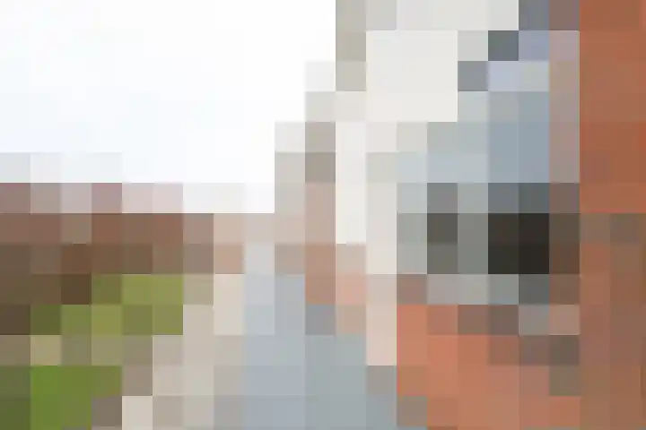 Vestahof 37 Rockanje thumbnail 11