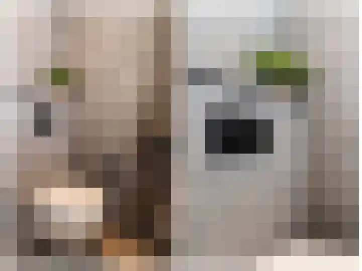 Vestahof 37 Rockanje thumbnail 15