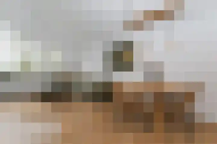 Vestahof 37 Rockanje thumbnail 17
