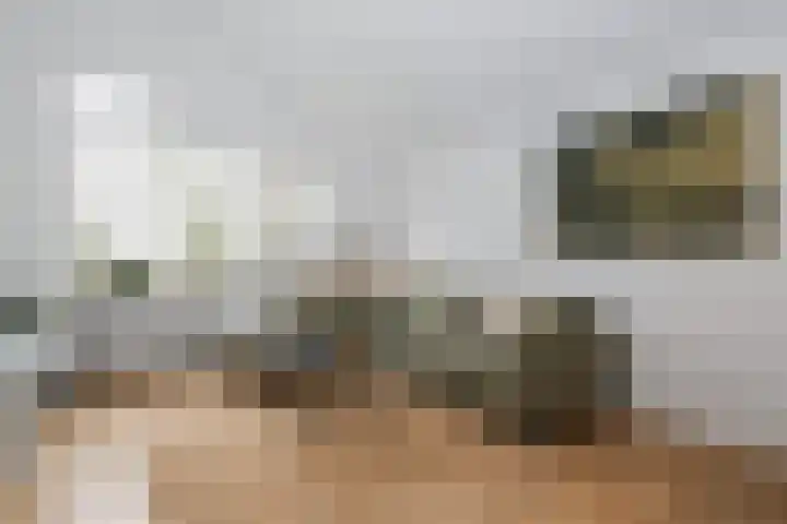 Vestahof 37 Rockanje thumbnail 19