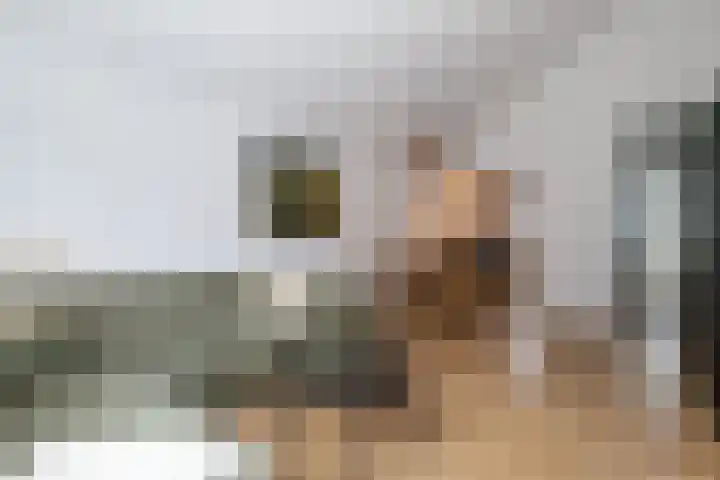 Vestahof 37 Rockanje thumbnail 21
