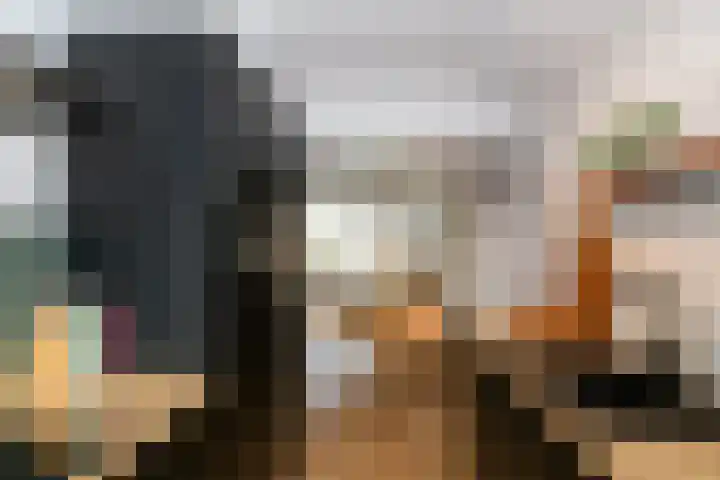 Vestahof 37 Rockanje thumbnail 24