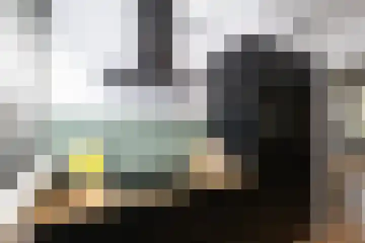 Vestahof 37 Rockanje thumbnail 26