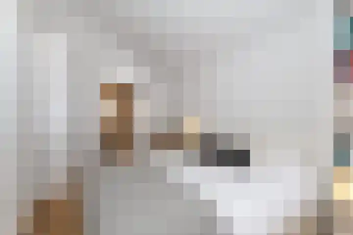 Vestahof 37 Rockanje thumbnail 29