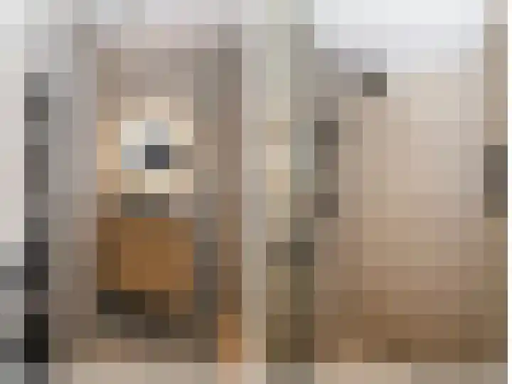 Vestahof 37 Rockanje thumbnail 31