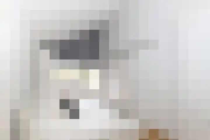 Vestahof 37 Rockanje thumbnail 33