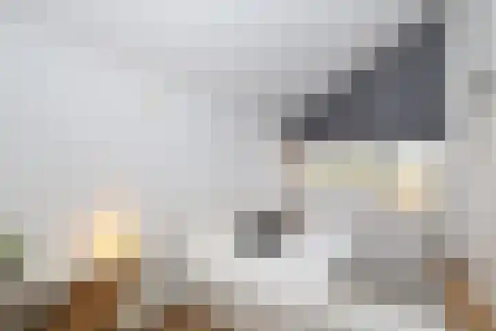 Vestahof 37 Rockanje thumbnail 34