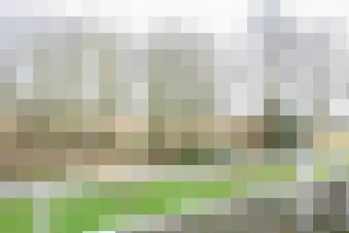Vestahof 37 Rockanje thumbnail 37