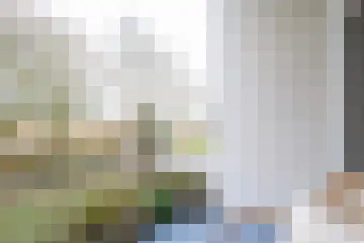 Vestahof 37 Rockanje thumbnail 38