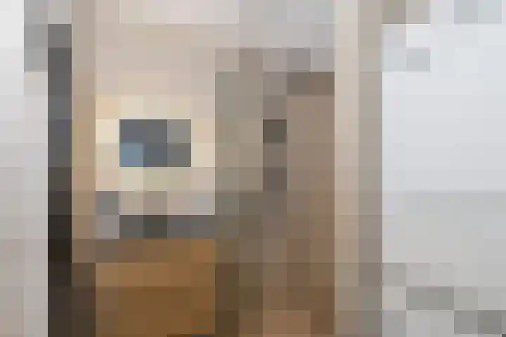 Vestahof 37 Rockanje thumbnail 4