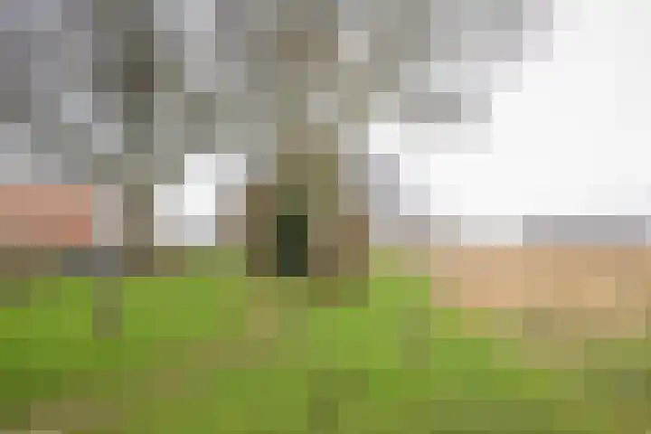 Vestahof 37 Rockanje thumbnail 40