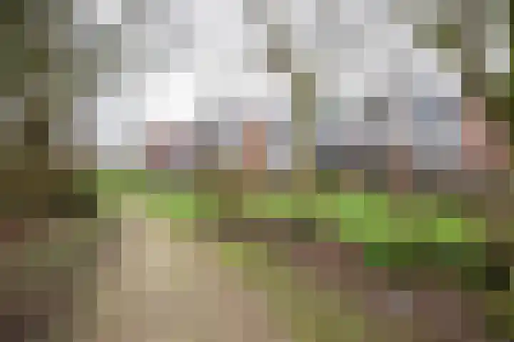 Vestahof 37 Rockanje thumbnail 42