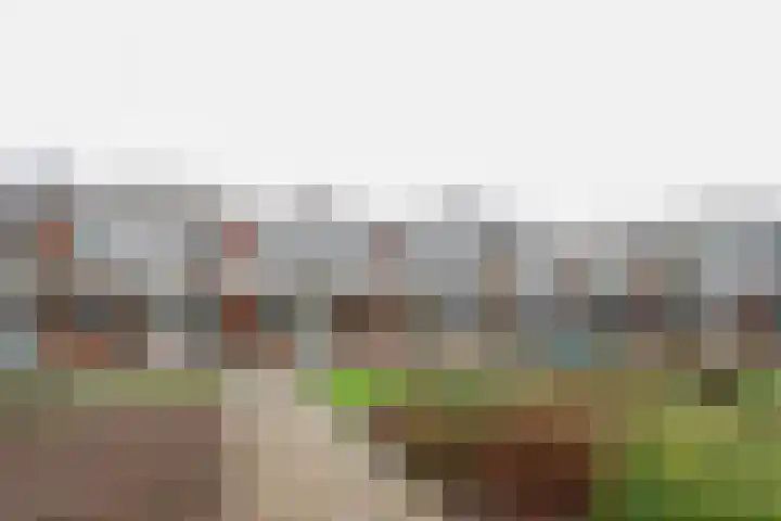 Vestahof 37 Rockanje thumbnail 45