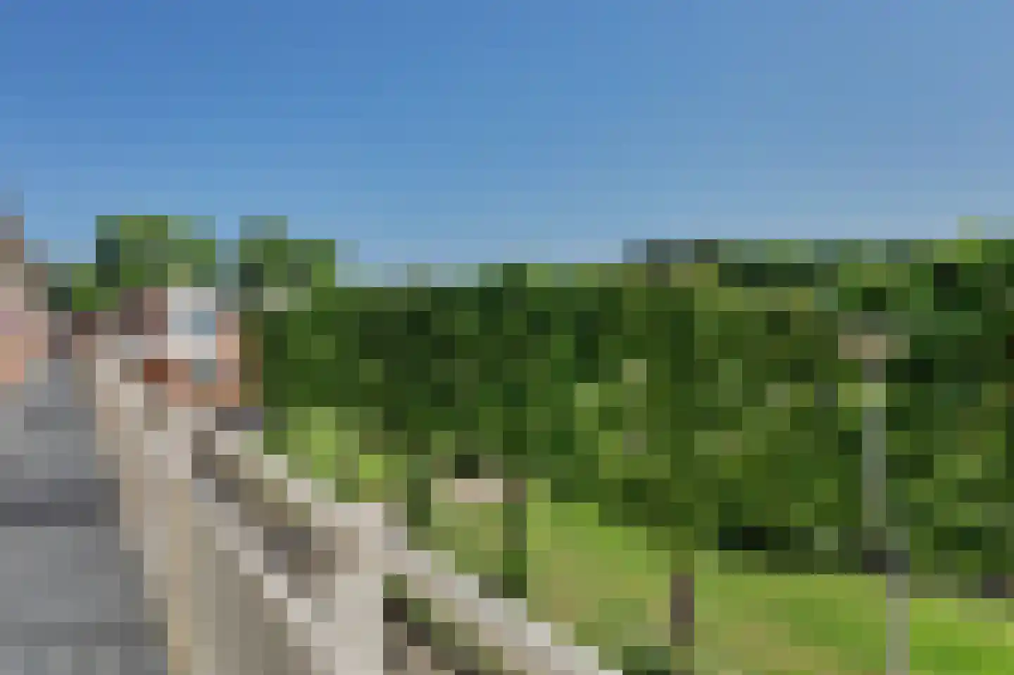 Vestahof 56 Rockanje thumbnail 27
