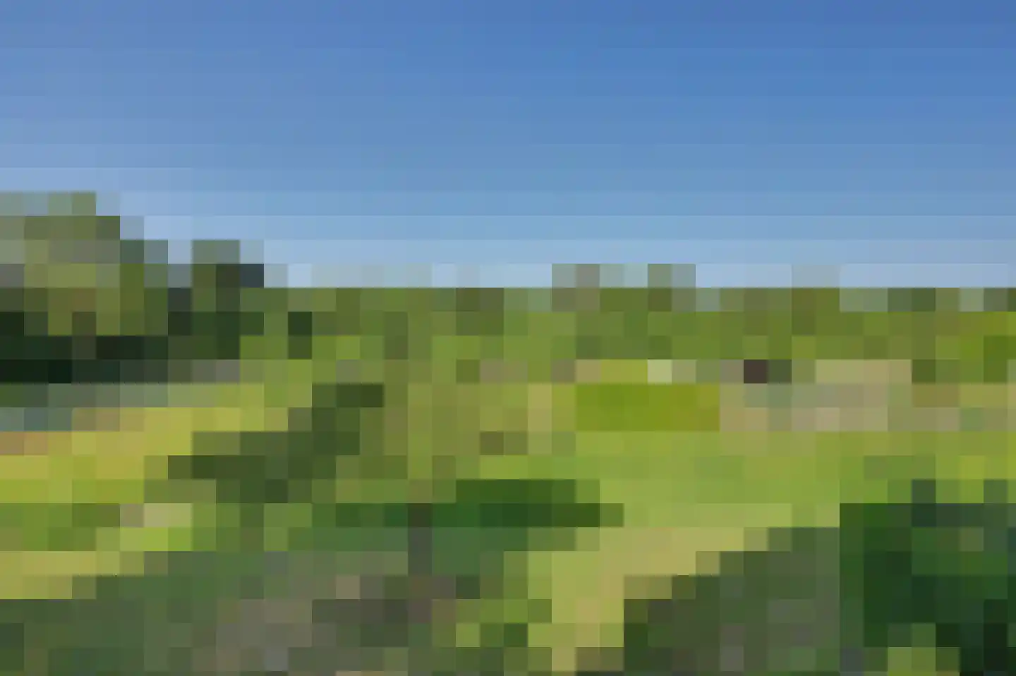 Vestahof 56 Rockanje thumbnail 38