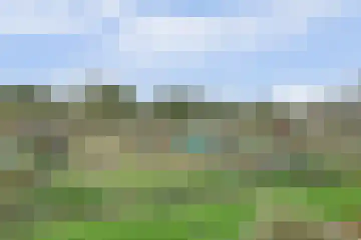 Vestahof 60 Rockanje thumbnail 20