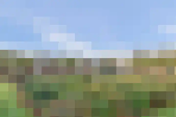 Vestahof 60 Rockanje thumbnail 23