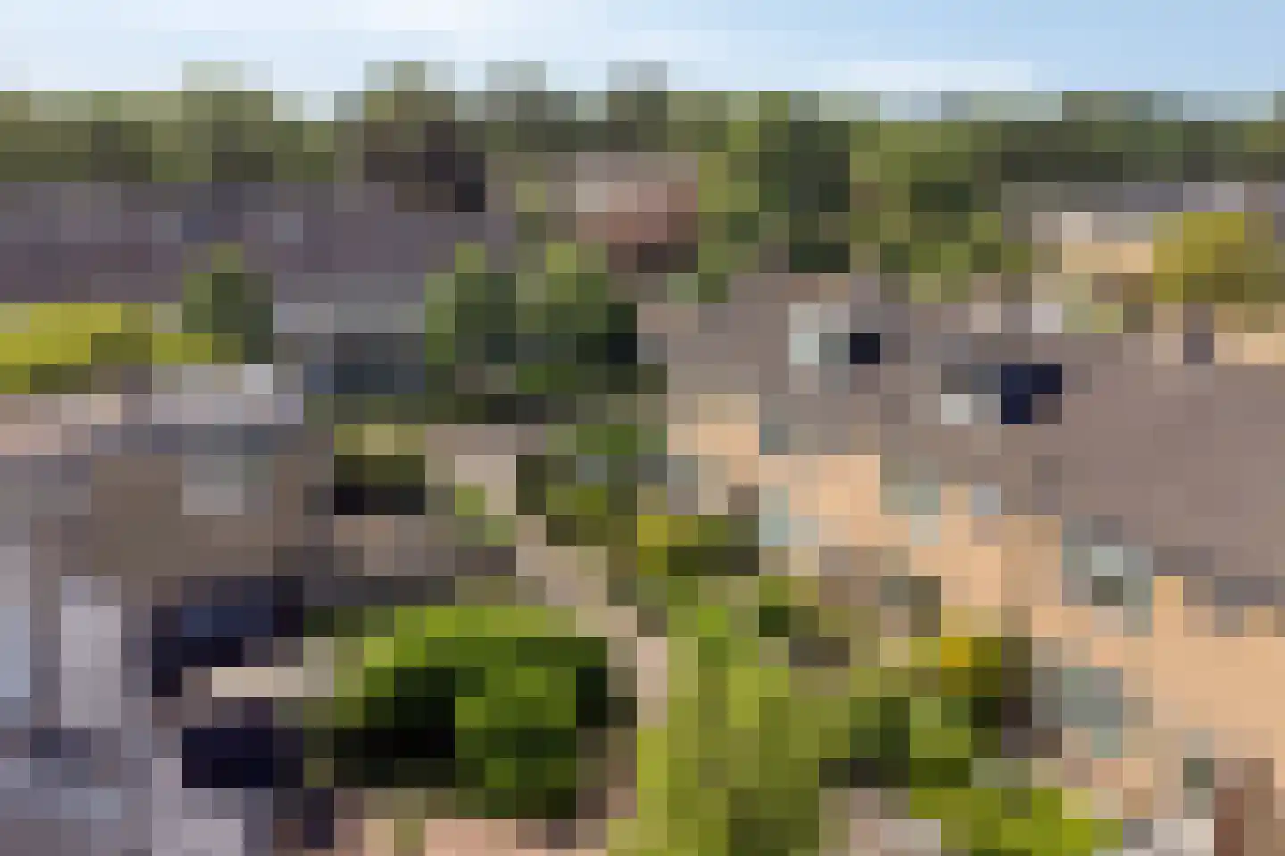 Vestalaan 1 Heerhugowaard thumbnail 38