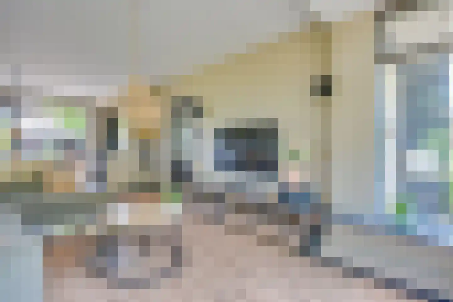 Vestalaan 12 Heerhugowaard thumbnail 11
