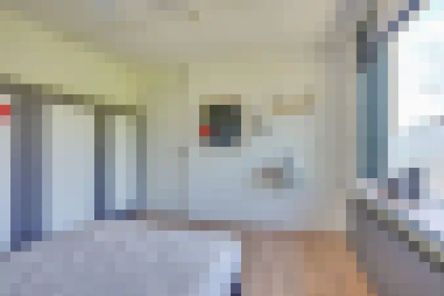 Vestalaan 12 Heerhugowaard thumbnail 20