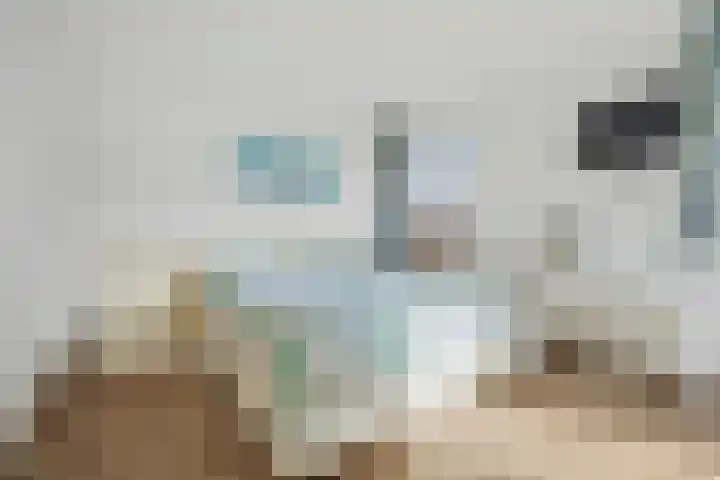 Vestalaan 2 Rockanje thumbnail 12