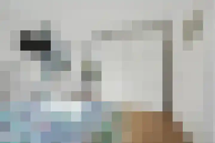 Vestalaan 2 Rockanje thumbnail 13