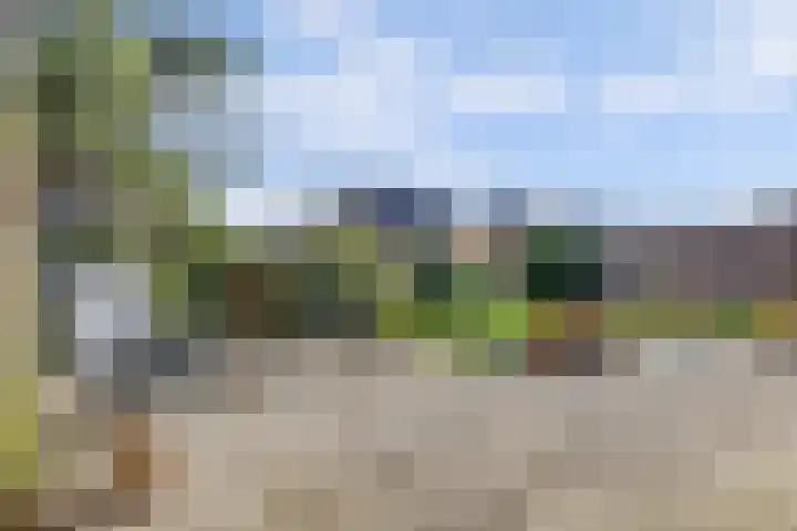 Vestalaan 2 Rockanje thumbnail 18
