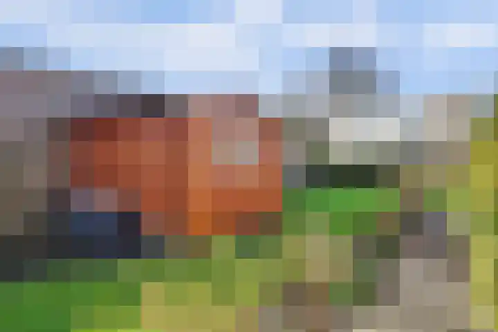 Vestalaan 2 Rockanje thumbnail 20