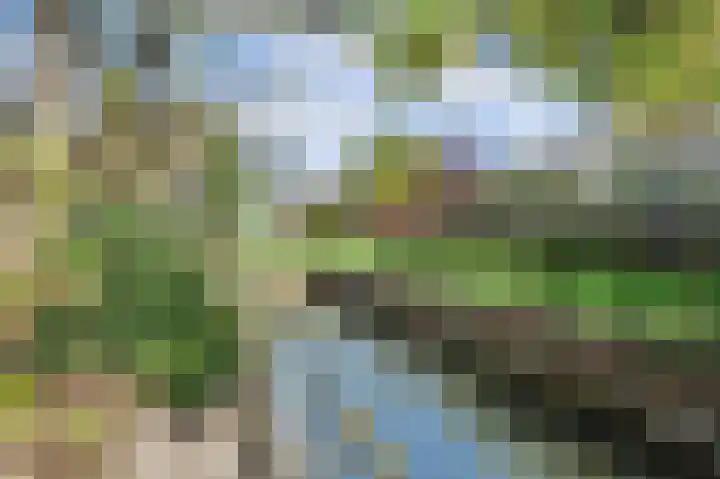 Vestalaan 2 Rockanje thumbnail 23