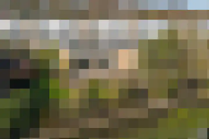 Vestalaan 2 Rockanje thumbnail 24