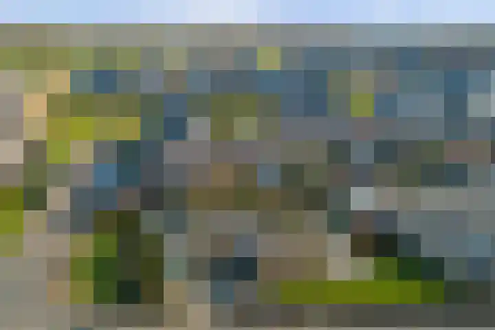Vestalaan 2 Rockanje thumbnail 28