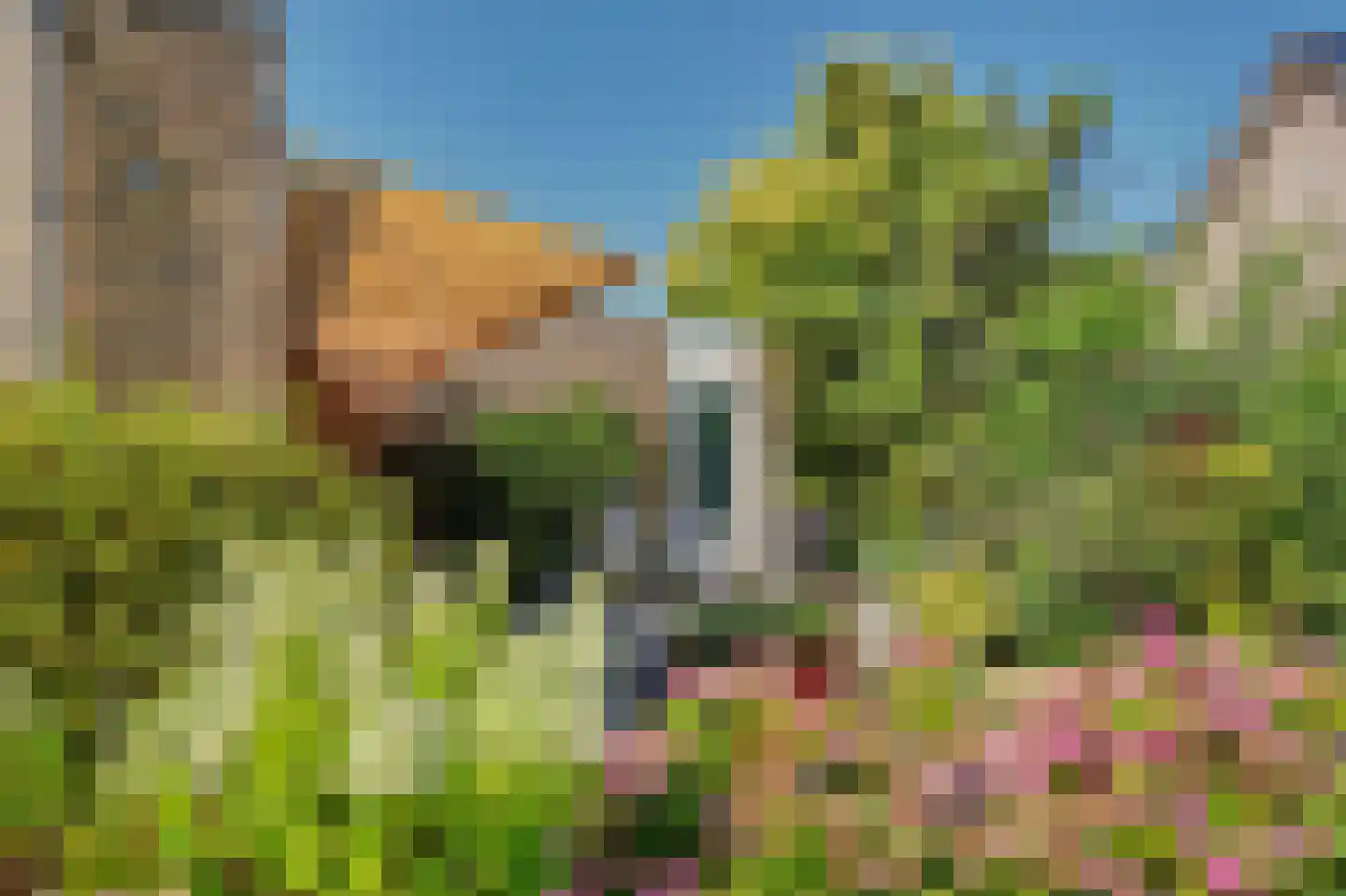 Vestalaan 2 Rockanje thumbnail 28
