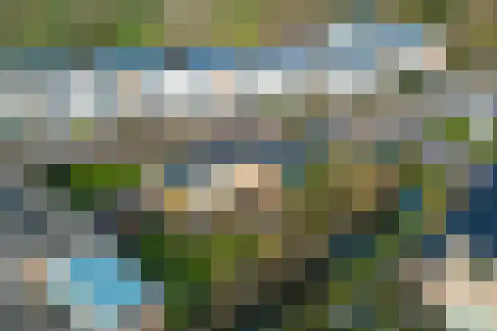 Vestalaan 2 Rockanje thumbnail 29