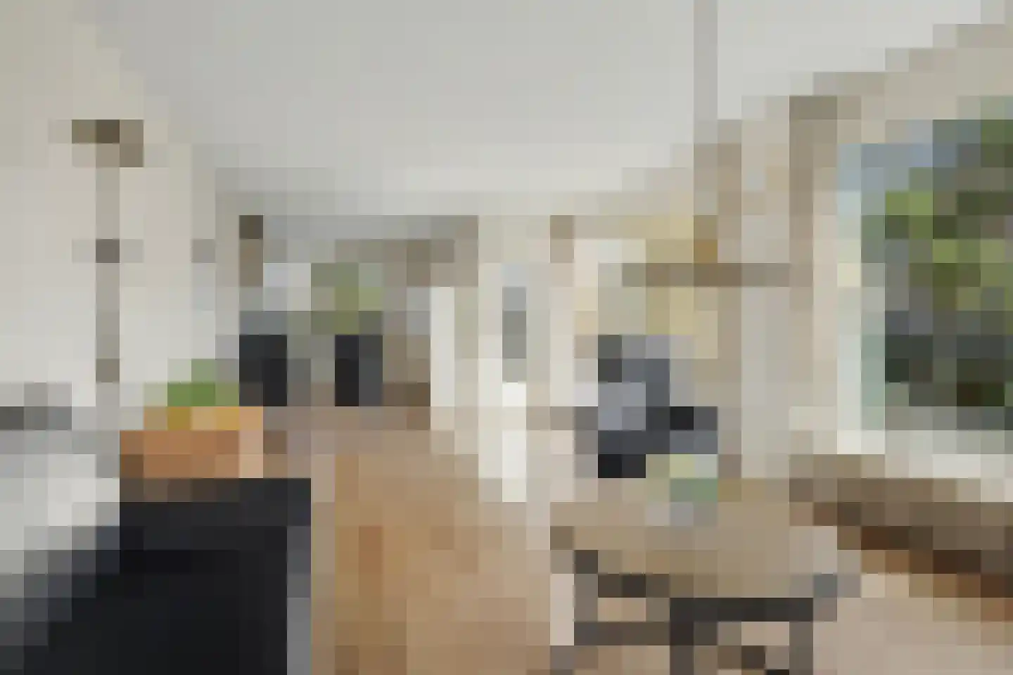Vestalaan 2 Rockanje thumbnail 7