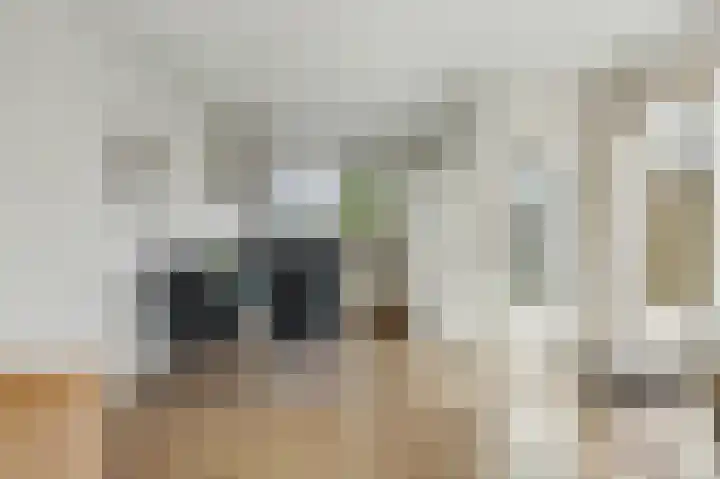 Vestalaan 2 Rockanje thumbnail 7