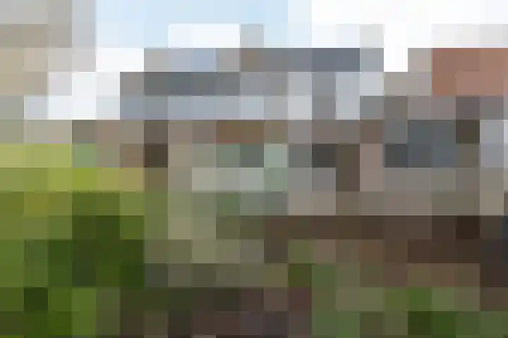 Vestalaan 4 in Rockanje