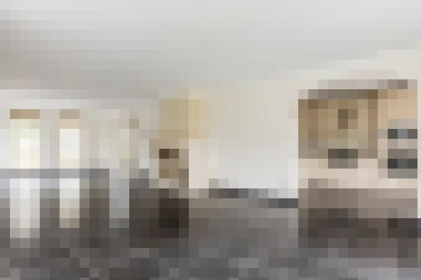 Vestalaan 4 Rockanje thumbnail 15