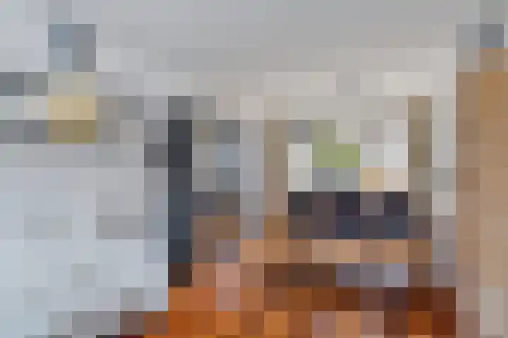 Vestalaan 7 Heerhugowaard thumbnail 14