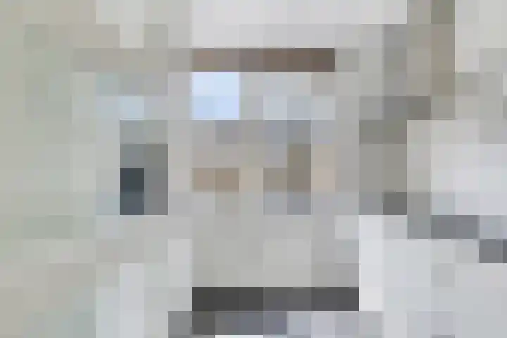 Vestalaan 7 Heerhugowaard thumbnail 15