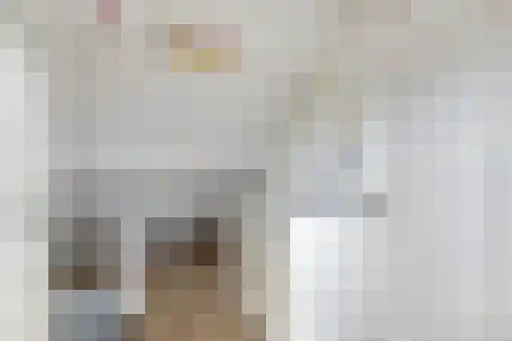 Vestalaan 7 Heerhugowaard thumbnail 32