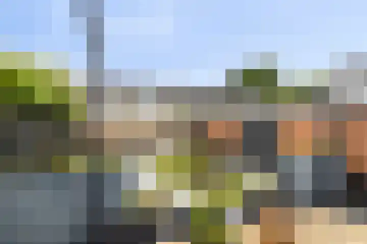 Vestalaan 7 Heerhugowaard thumbnail 38