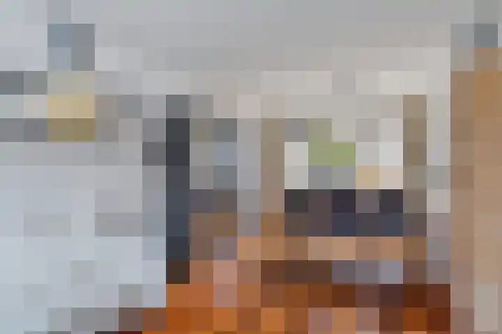 Vestalaan 7 Heerhugowaard thumbnail 4
