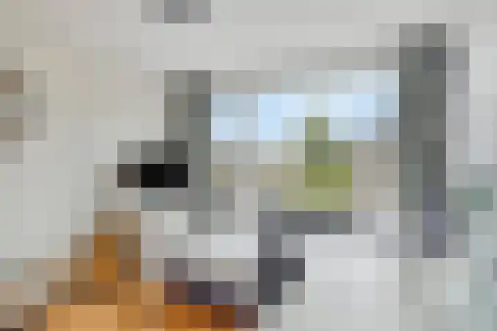 Vestalaan 7 Heerhugowaard thumbnail 7