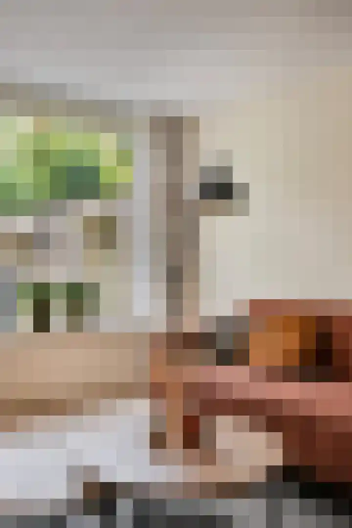 Vestapad 20 Son en Breugel thumbnail 12