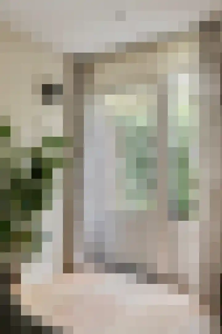 Vestapad 20 Son en Breugel thumbnail 14