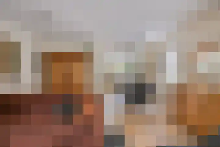 Vestapad 20 Son en Breugel thumbnail 16