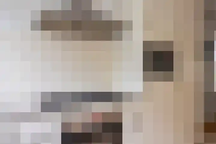 Vestapad 20 Son en Breugel thumbnail 19