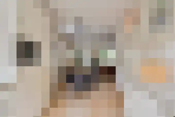 Vestapad 20 Son en Breugel thumbnail 20