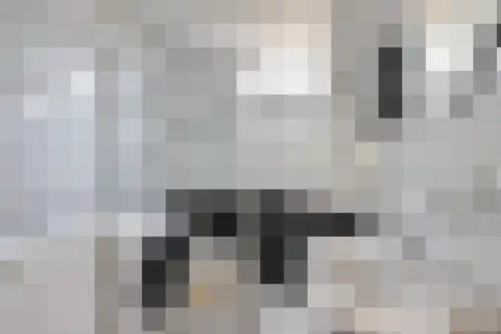Vestapad 20 Son en Breugel thumbnail 31